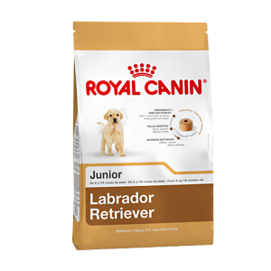 ROYAL CANIN Labrador Retriever 33 Junior x 12 Kg