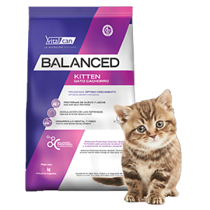 Balanced Gato Kitten x 0,4  2 y 7,5 kg